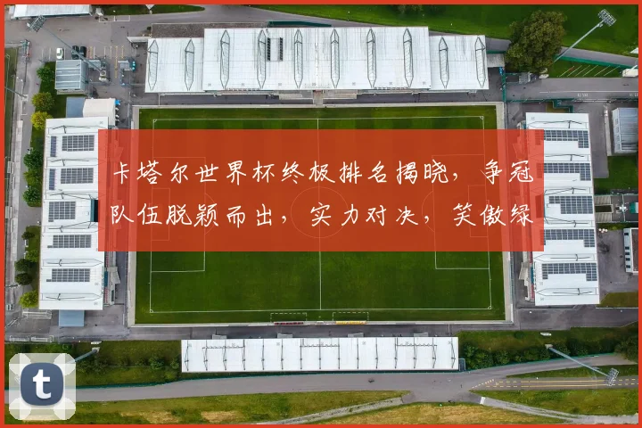 卡塔尔世界杯终极排名揭晓，争冠队伍脱颖而出，实力对决，笑傲绿茵场，谁将问鼎桂冠